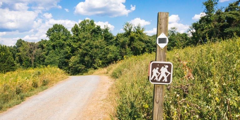 The 5 Best Hiking Trails In Nashville